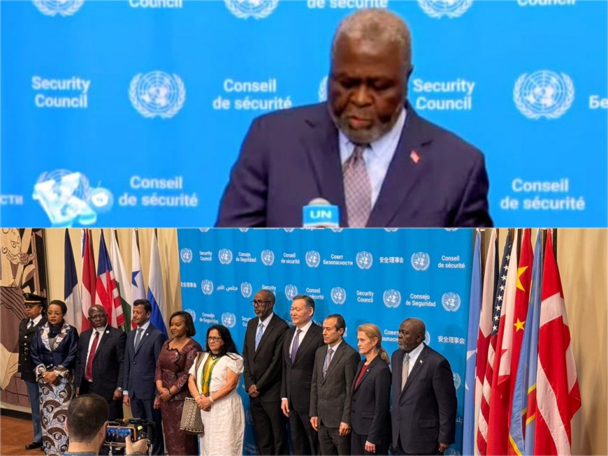 Liberia’s Flag Installed at UN Security Council as the Country Begins Two-Year Tenure