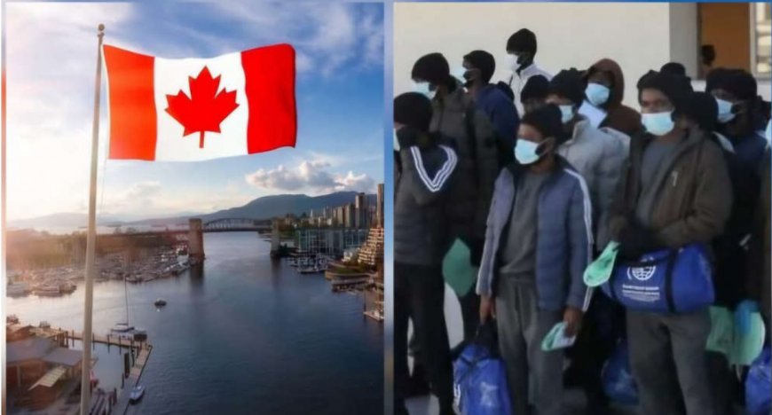 Canada Deports 366 Nigerians in 10 Months as Immigration Crackdown Intensifies