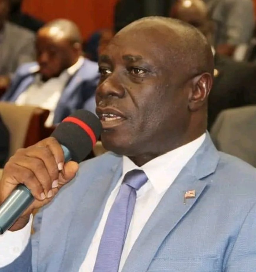 “This Is Not Right”- Rep. Nyan Flomo Warns Lawmakers of Constitutional Breach Over Seat Increment