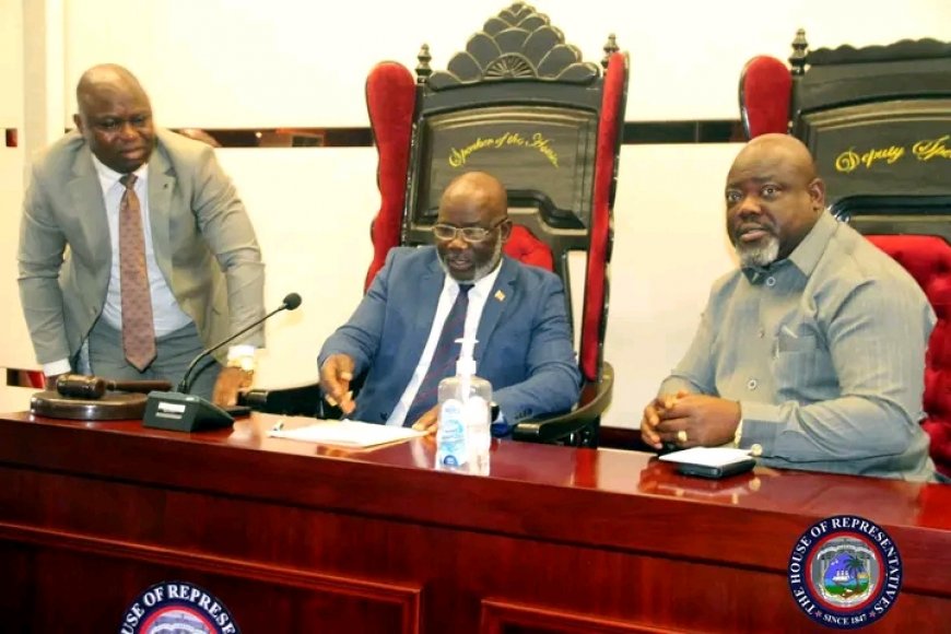 House Cross-Exams Bill to Grant Autonomy to Zwedru Multilateral Institute