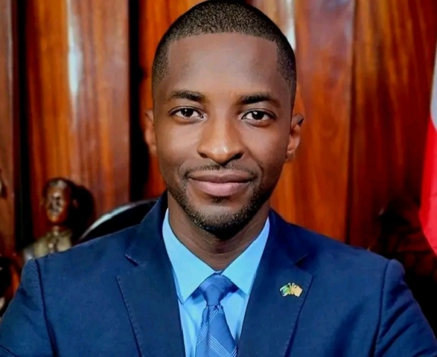 “Liberians Do Not Eat statistics,” - Moniba Calls for Real Impact of Gov't 70K Job Creation Claim