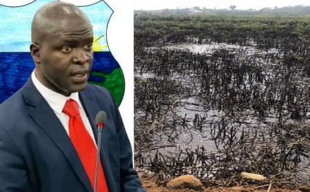 EPA Launches US$2 Million Project to Enhance Protection of Liberia’s Wetlands