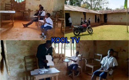 Education at Risk: River Gee's Depecpo Public School Lies in Ruin