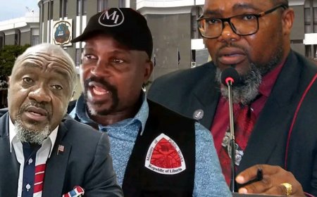 Public Works, PPCC, NIC, and NBC to Face House Questioning Over Sectoral Lapses