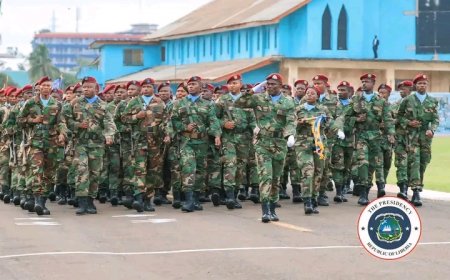 AFL Marked 69th Armed Forces Day with Focus on Regional Security Cooperation, Structural Reforms