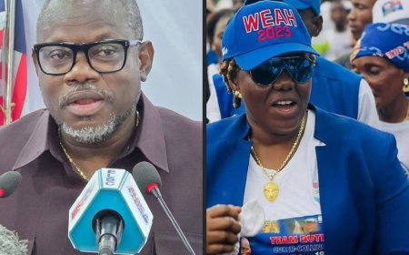 Collins Slams Giddings’ Appointment, Government Strikes Back