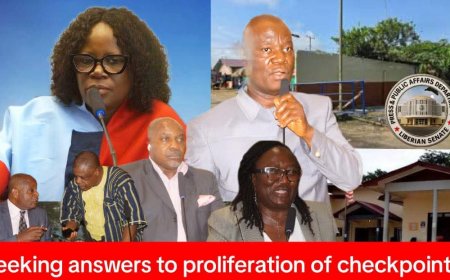 Senate Grants One-month Mandate To Audit Nationwide Security Checkpoints ‎