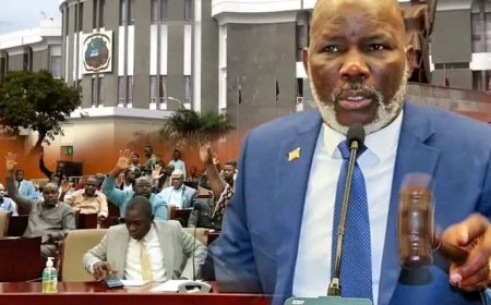 House Concurs With Senate on Bills to Expand Administrative Districts in Lofa