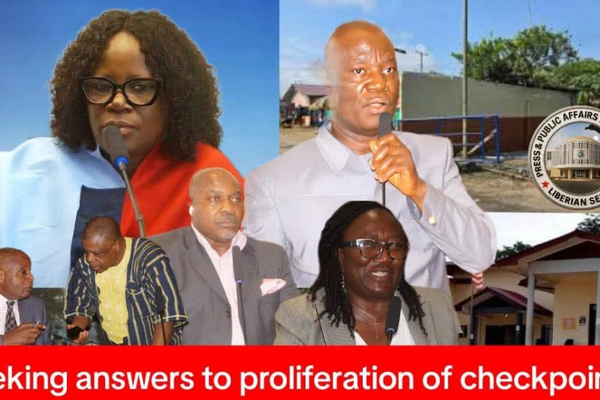 Senate Grants One-month Mandate To Audit Nationwide Security Checkpoints ‎