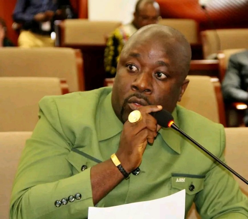 Sinoe Lawmaker Upset with Ministers' Snubbing of House's Summons