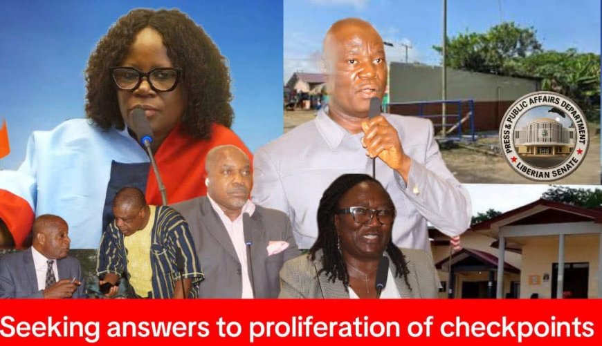 Senate Grants One-month Mandate To Audit Nationwide Security Checkpoints ‎