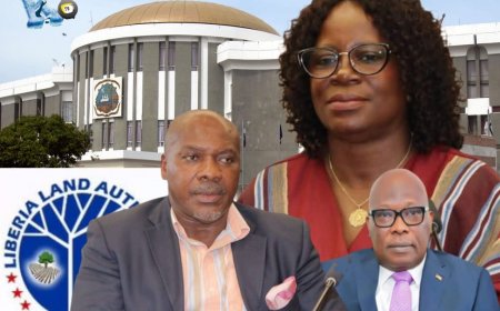 Senator Sogbie Flags Escalating Land Disputes Nationwide, Seeks LLA Appearance Before Senate Plenary