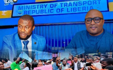 Gov't Strips Transport Ministry of Licensing Powers, Grants 25-Year Control to LTMI Amid Public Outcry