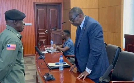 JUSTICE MINISTER APOLOGIZES TO SENATE OVER SUBPOENA MIX-UP