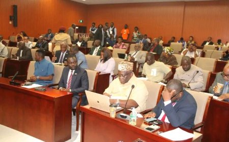 Lawmakers Push to Criminalize Gender-Targeted Digital Abuse