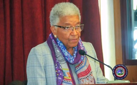 Ex-President Sirleaf Criticizes Condition of Public Structures