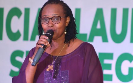 "Catalyst for National Transformation” - UN Describes Liberia's New Economic Plan Launch