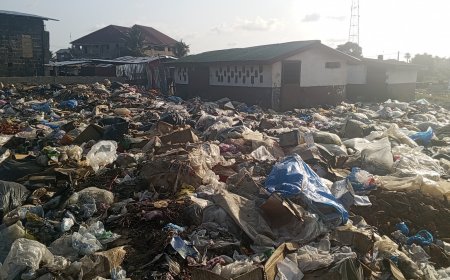 'Clogged Latrines, Open Defecation': Concerns Mount Over Deteriorating State of Johnsonville Public School