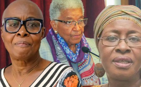 Fahnbulleh Warns Against Granting Non-Negro Liberian Citizenship