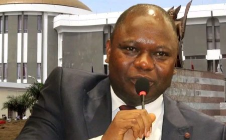 House Orders Review of China–Africa Zero-Tariff Deal