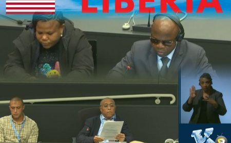 UN Blasts Liberia for Gaps in Disability Rights Despite Policy Progress