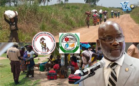 House Speaker Issues 48 Hour Ultimatum to LRRRC & NDMA Over Displacement of Citizens Near Liberia-Guinea Border