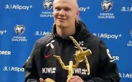 Haaland Receives 2026 World Cup Qualifiers Top Scorer Honor