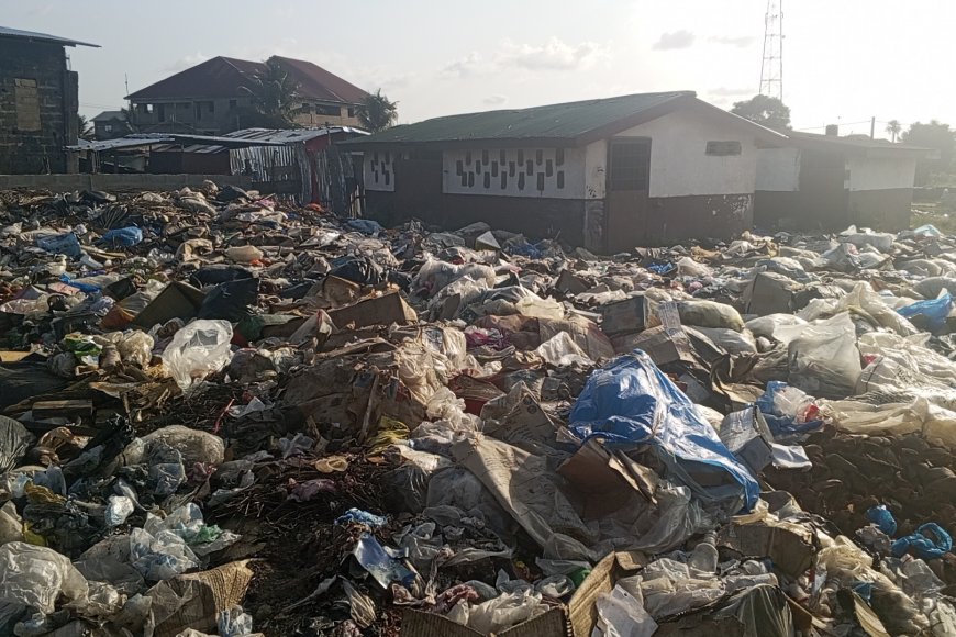 'Clogged Latrines, Open Defecation': Concerns Mount Over Deteriorating State of Johnsonville Public School