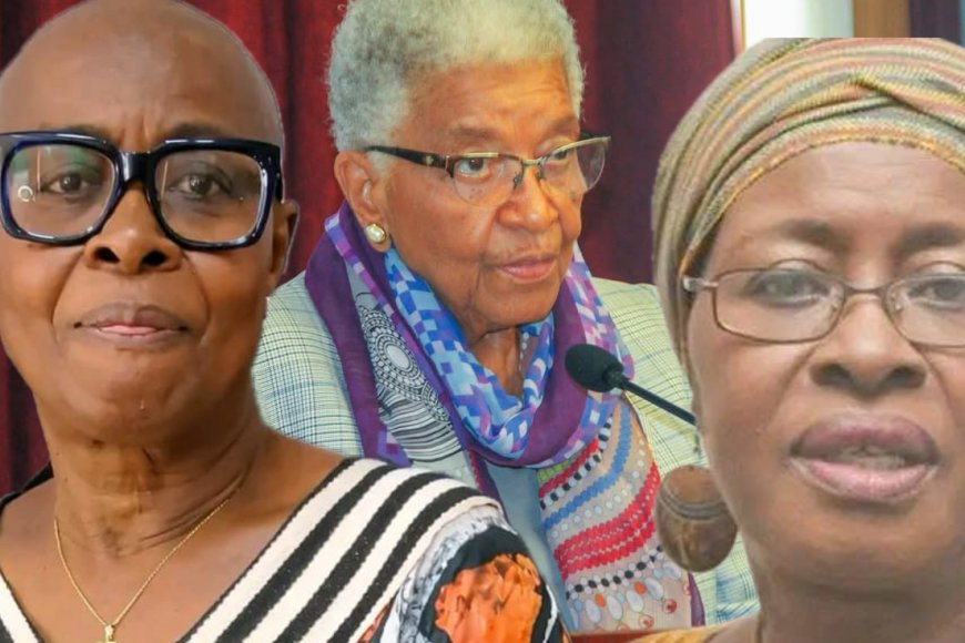 Fahnbulleh Warns Against Granting Non-Negro Liberian Citizenship