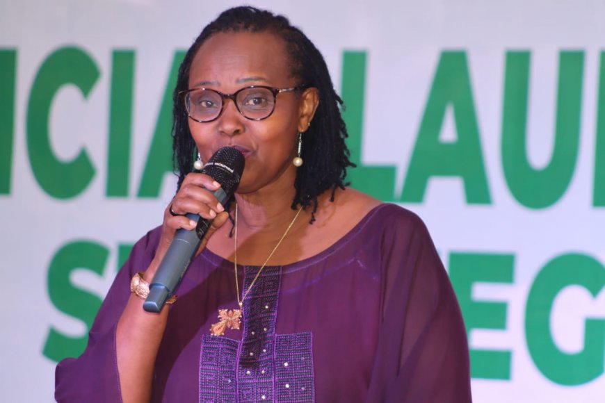 "Catalyst for National Transformation” - UN Describes Liberia's New Economic Plan Launch