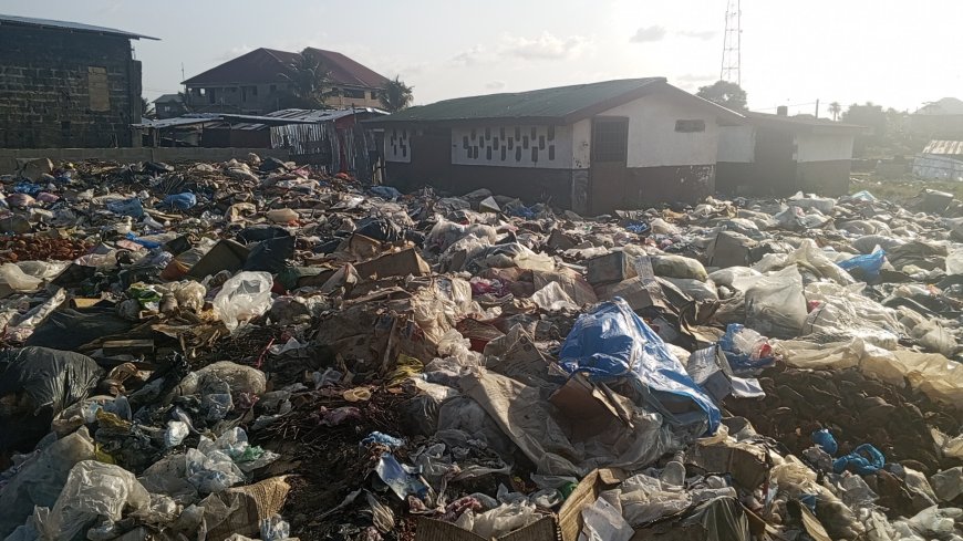'Clogged Latrines, Open Defecation': Concerns Mount Over Deteriorating State of Johnsonville Public School