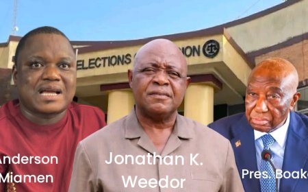 CENTAL Boss Questions 'Independence' of Boakai's NEC Chairperson Pick