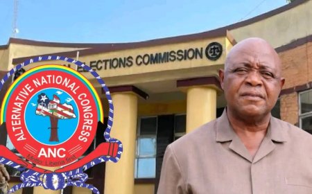 Competence vs Independence: ANC Places Weedor's NEC Chair Nomination Under Scrutiny