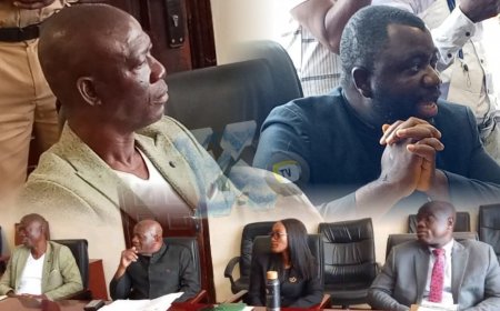 Kolubah, Legal Counsel 'Walk Out' Plunges House's Investigative Hearing into Disarray