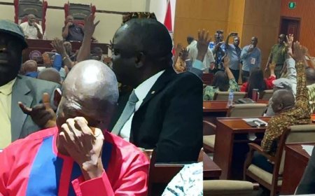 House of Representatives Expels Yekeh Kolubah After Securing Required Votes