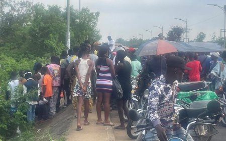 Woman Found Dead in Suspected Hit-and-Run on 72nd Road