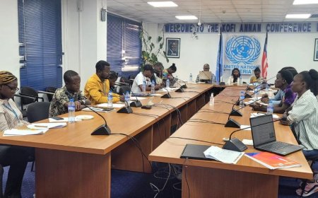 20 Liberian Journalists Trained in Critical Reporting on UN Strategic Framework