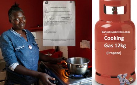 Government Sets New Cooking Gas Price to Stabilize Market Amid Rising Global LPG Costs