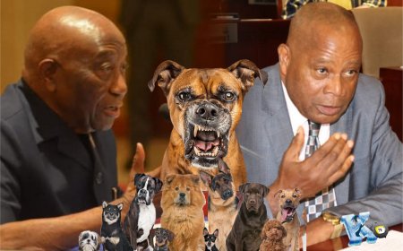 Apologize Now: Senator Chea Calls Out Executive Over 'Barking Dog' Statement, Cites Breach of Presidential Standard