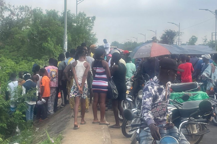 Woman Found Dead in Suspected Hit-and-Run on 72nd Road