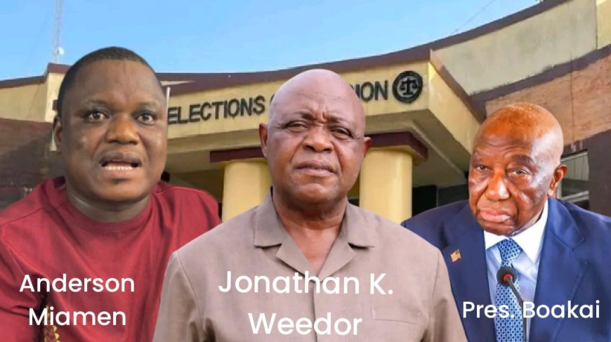 CENTAL Boss Questions 'Independence' of Boakai's NEC Chairperson Pick