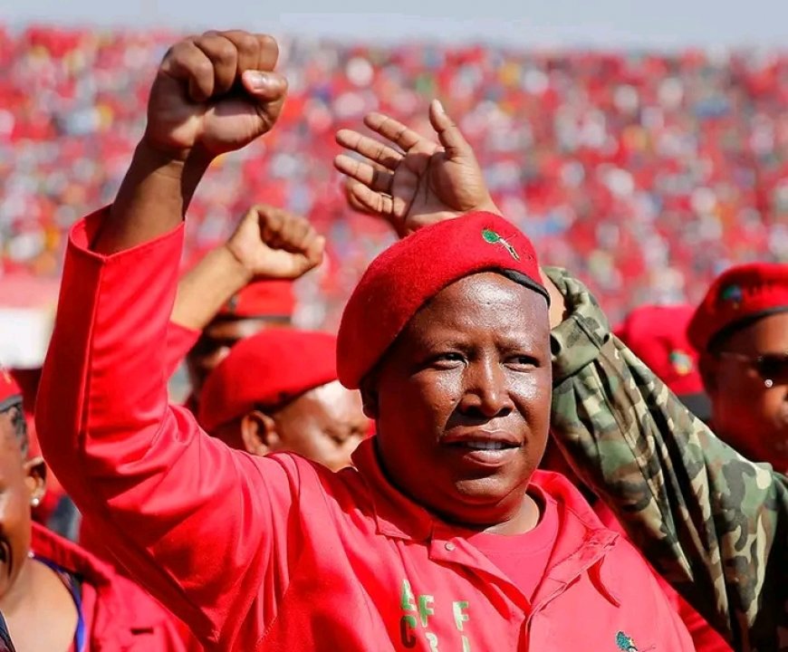 Breaking News: EFF Leader Malema Sentenced to Five Years in Prison in Firearm Case