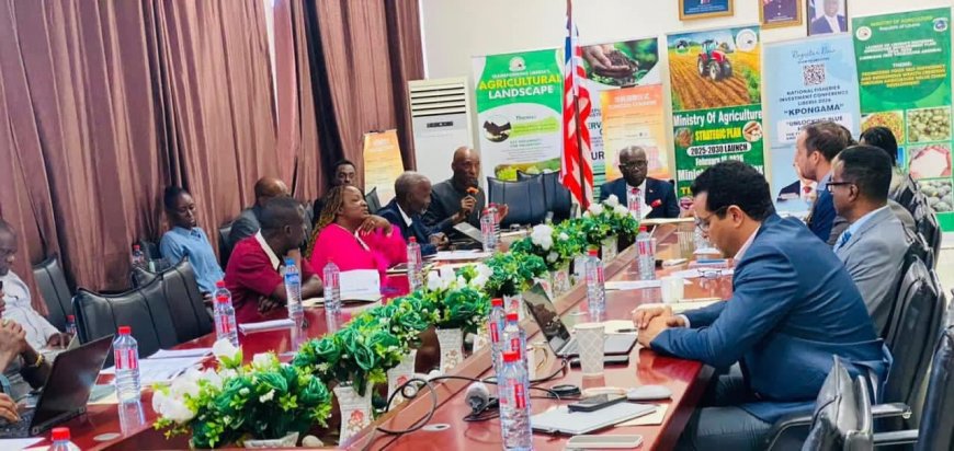 Liberia Digitizes Farm Exports to Cut Delay and Boost Global Trade