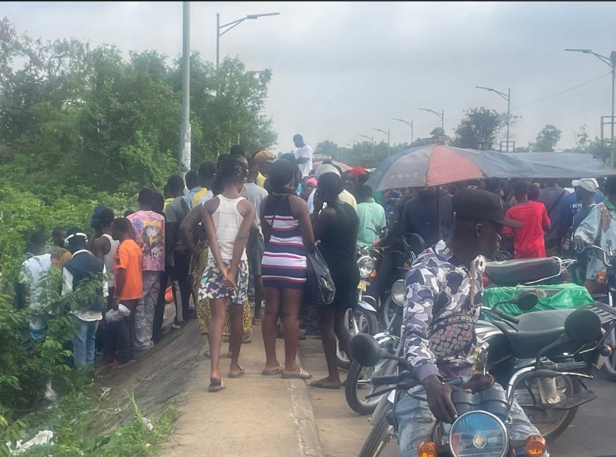 Woman Found Dead in Suspected Hit-and-Run on 72nd Road