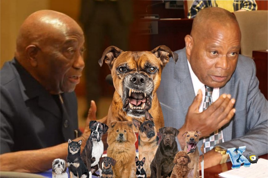 Apologize Now: Senator Chea Calls Out Executive Over 'Barking Dog' Statement, Cites Breach of Presidential Standard