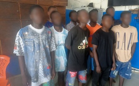 Police Arrest 11 Over Assault of Young Woman at Redlight