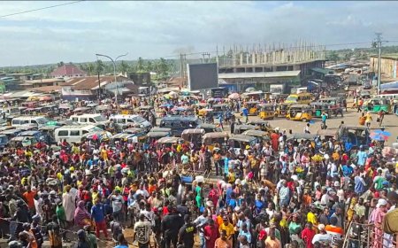 Government Gives Foreign-Owned Reserved Businesses 30-Day Ultimatum