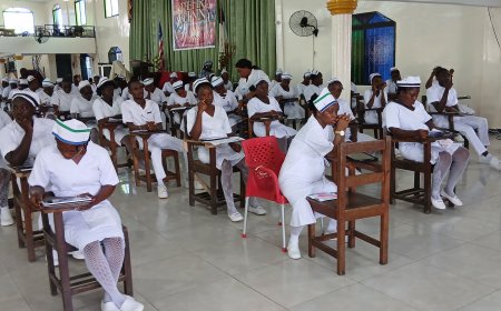 Liberia Nursing Board Assesses Several Aspiring Nurses, Midwives for Potential Licensing