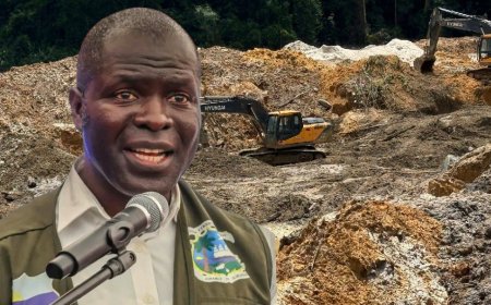 EPA Proposes Tighter Security Measures to Halt Growing 'Environmental Damage' Across Liberia