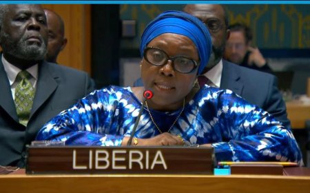 Liberia's Foreign Minister Pushes for Greater African Representation at UN Security Council